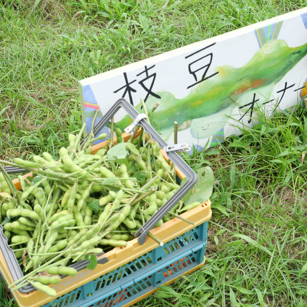 枝豆オーナー会